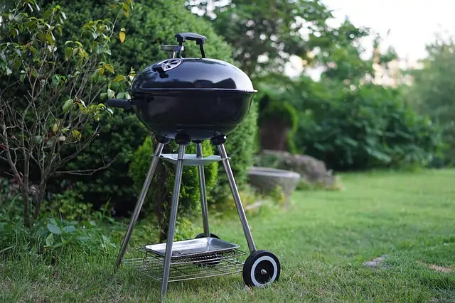 weber grilli